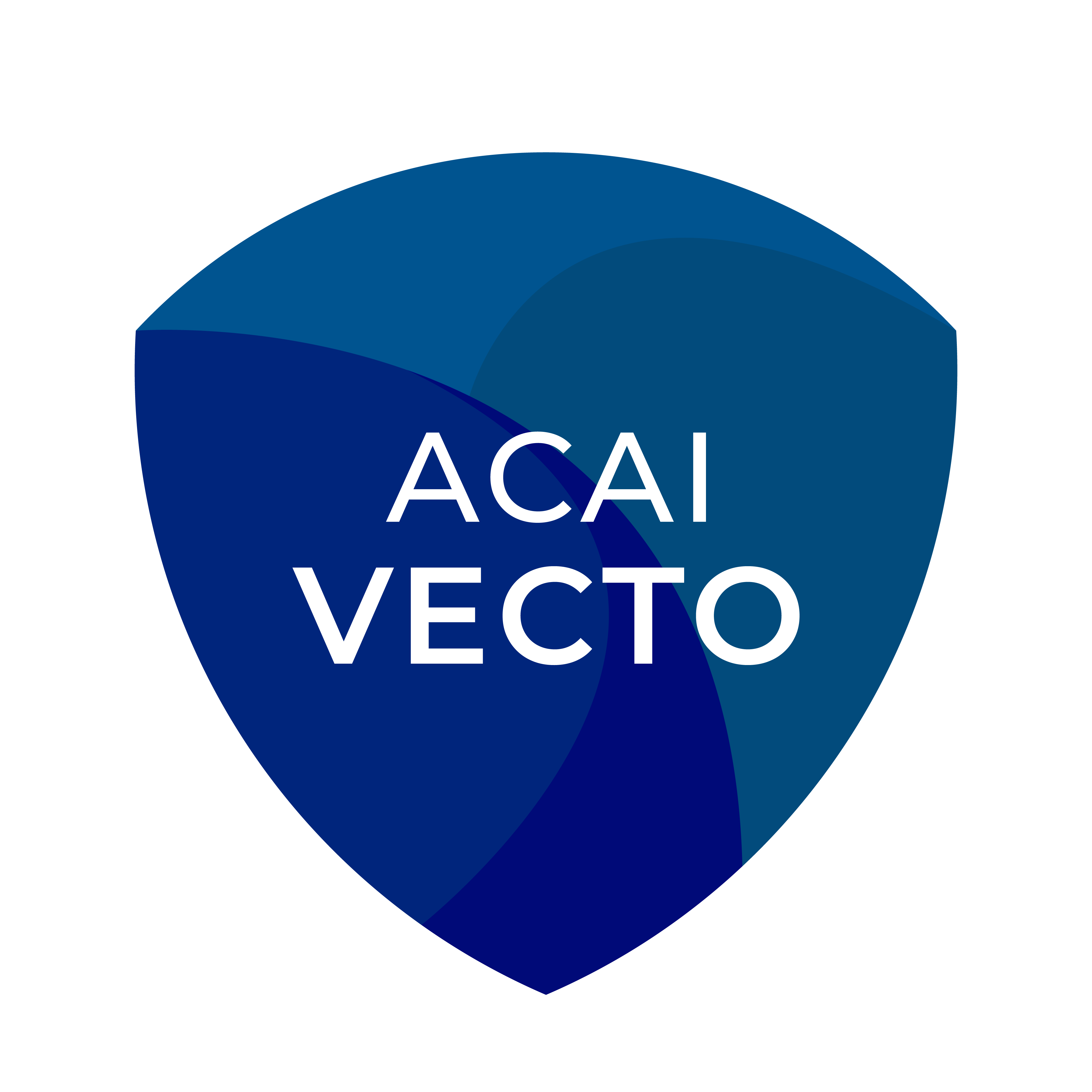VECTO